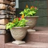 Pot Plant Pots for Sale Your Guide