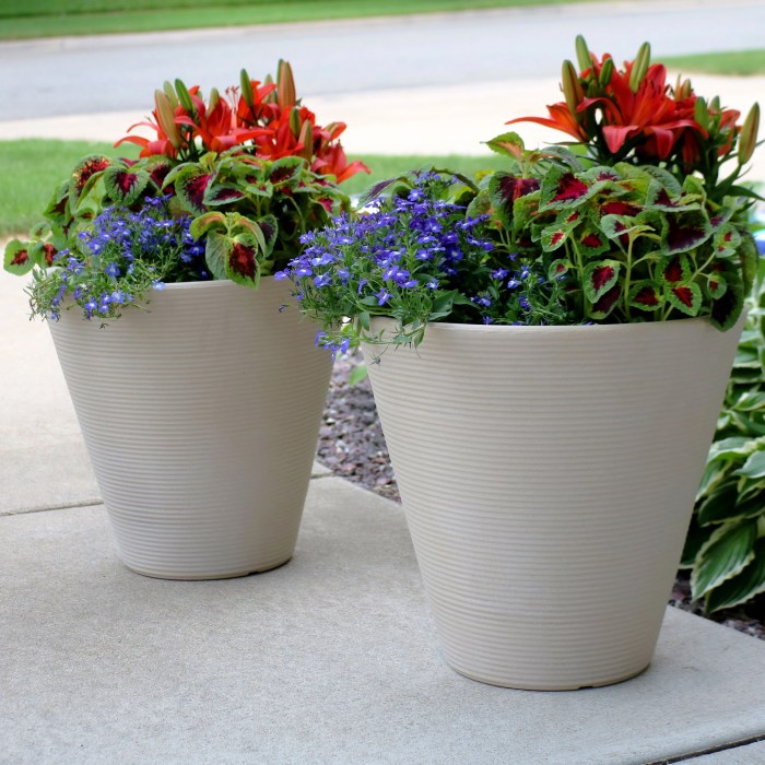 Pot plant pots for sale